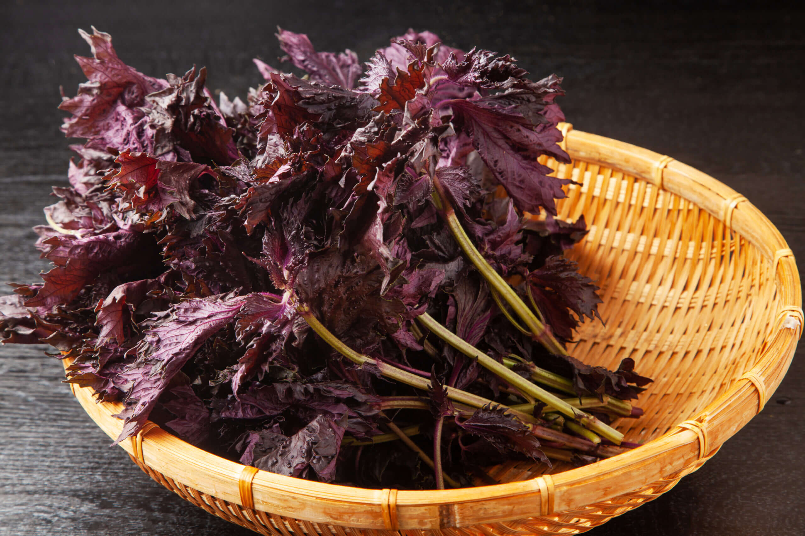 Red shiso field